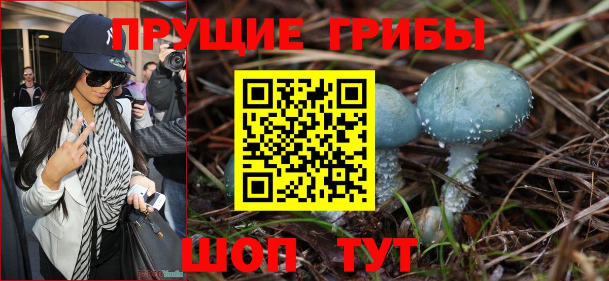 Псилоцибиновые грибы Magic Shrooms  Галлюциногенные грибы ЛСД  Заволжье  Вход с VPN 